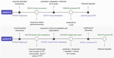 Efficacy and Biomarker Exploration of Sintilimab Combined With Chemotherapy in the Treatment of Advanced Penile Squamous Cell Carcinoma—A Report of Two Cases